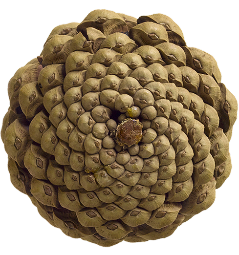 Onboarding & Implementation