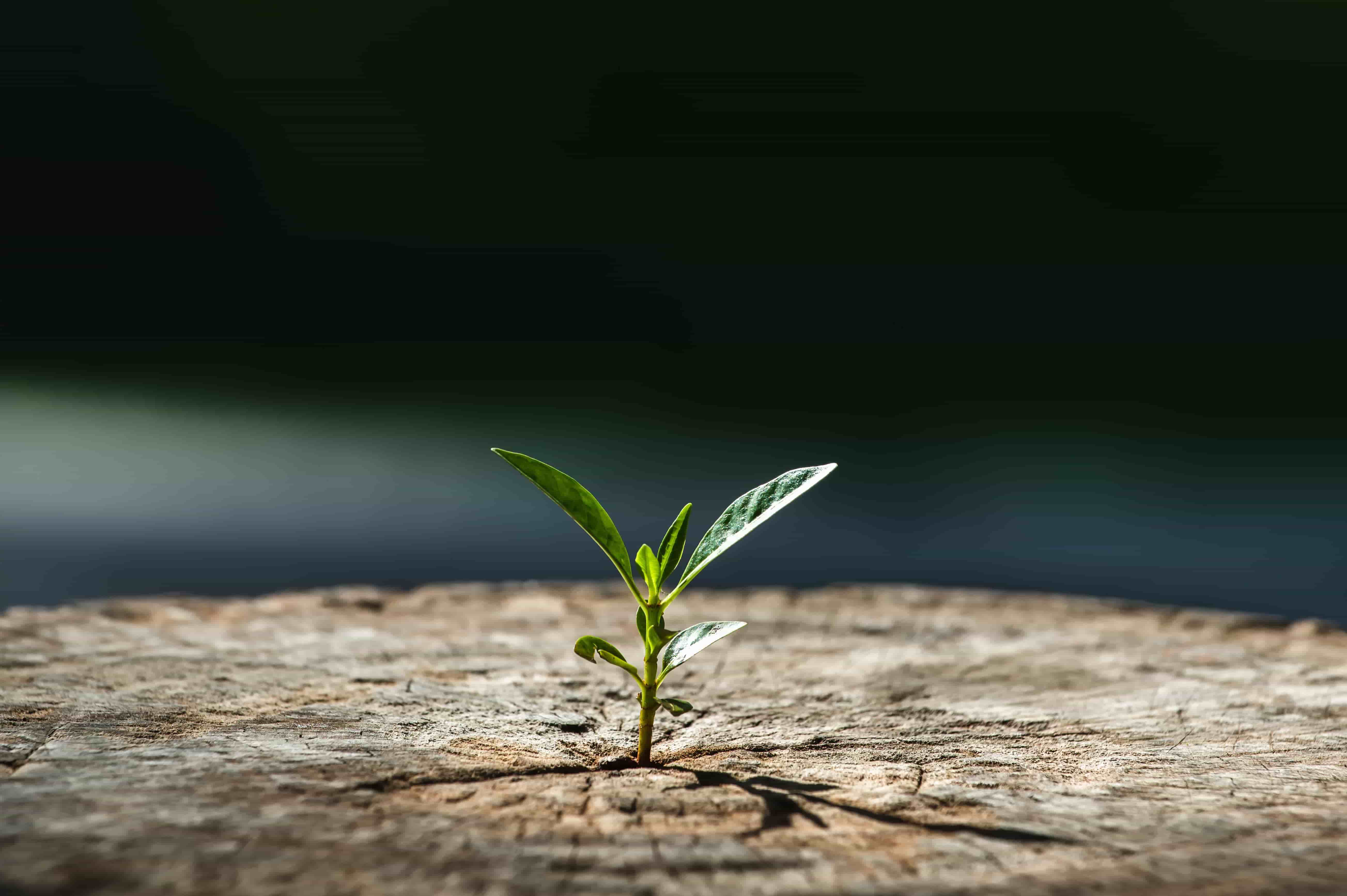 Can Your Administrator Scale with You? What to Ask Before You Commit